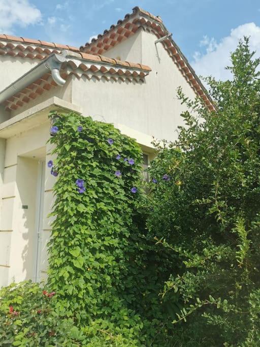 Maison Avec Piscine Dans Village Provencal. Courthézon Eksteriør billede